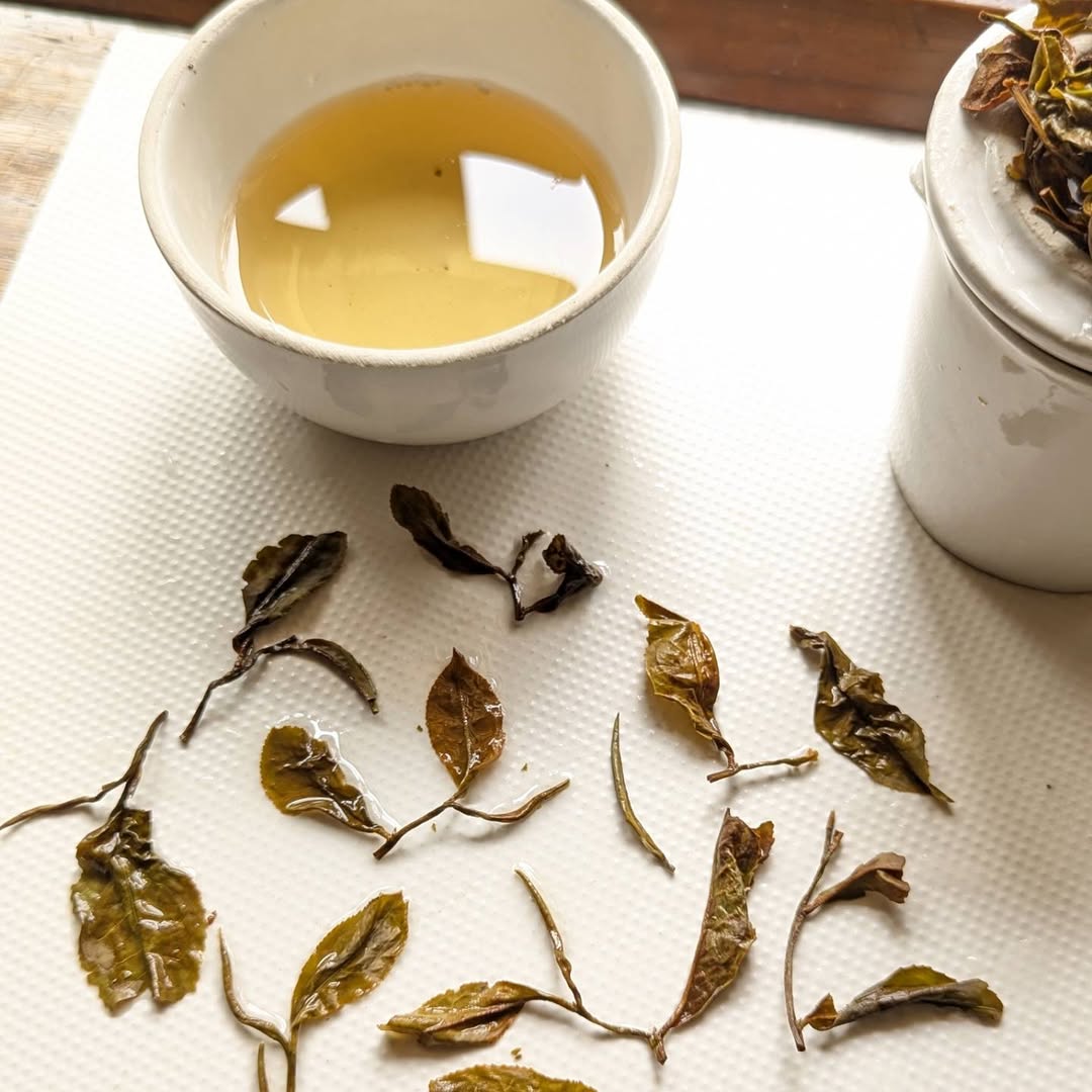 Vintage Green Oolong Tea – Premium Handcrafted Oolong