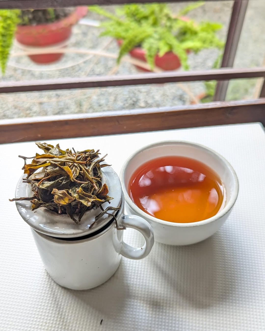 Golden Twirl Organic Black Tea