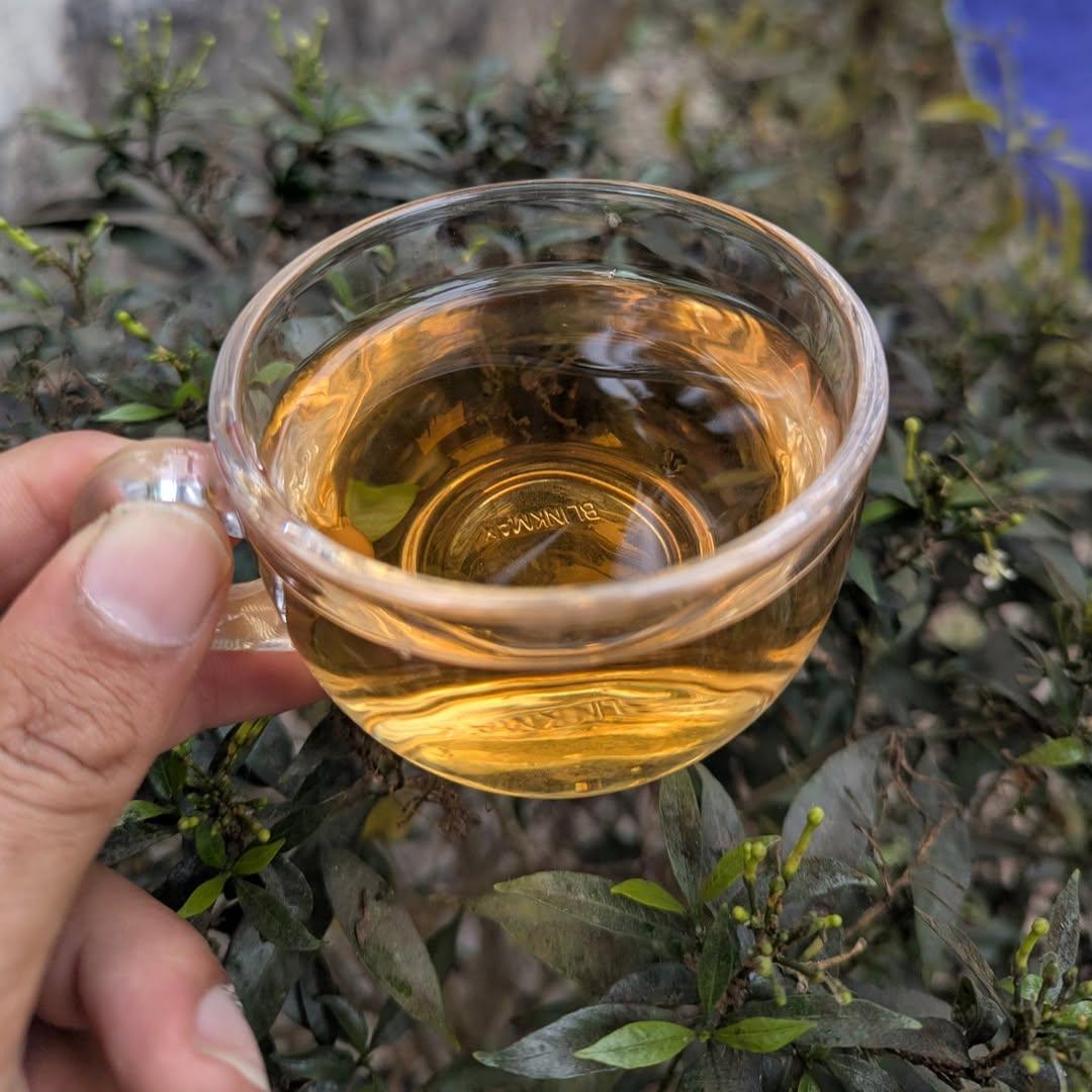 Jasmine Oolong Elegance