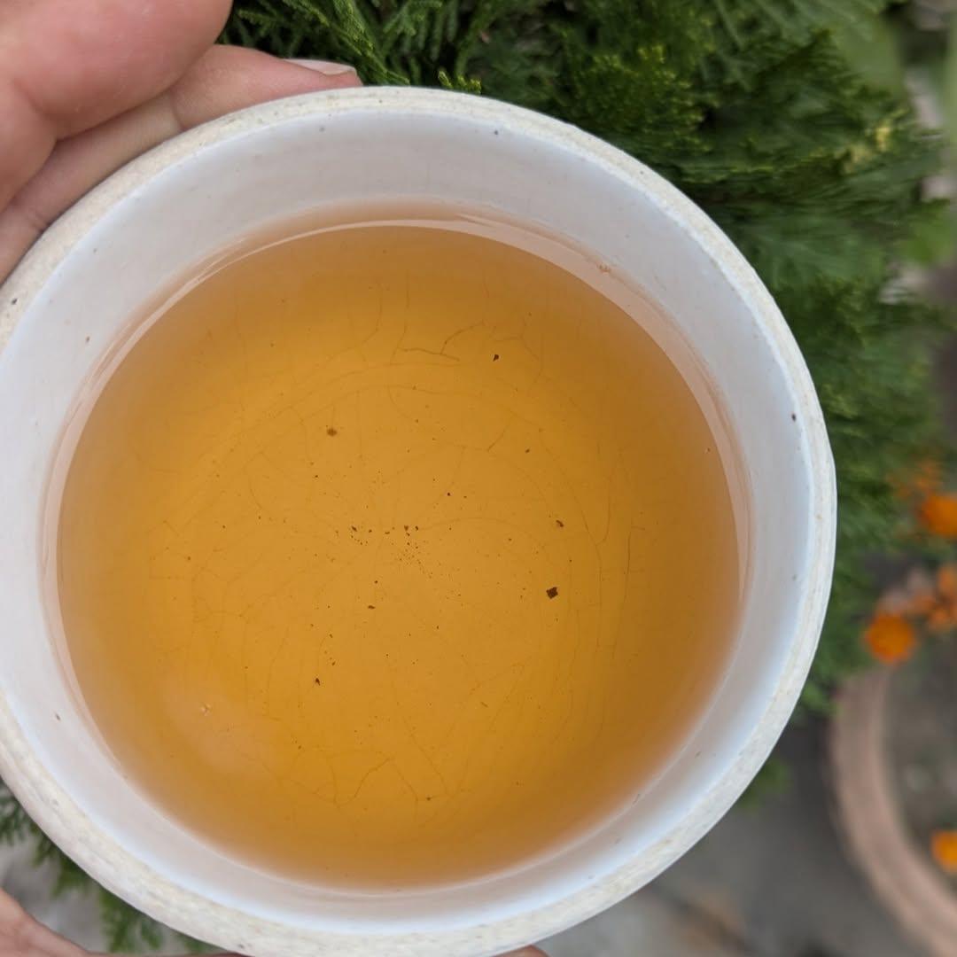 Jasmine Oolong Elegance