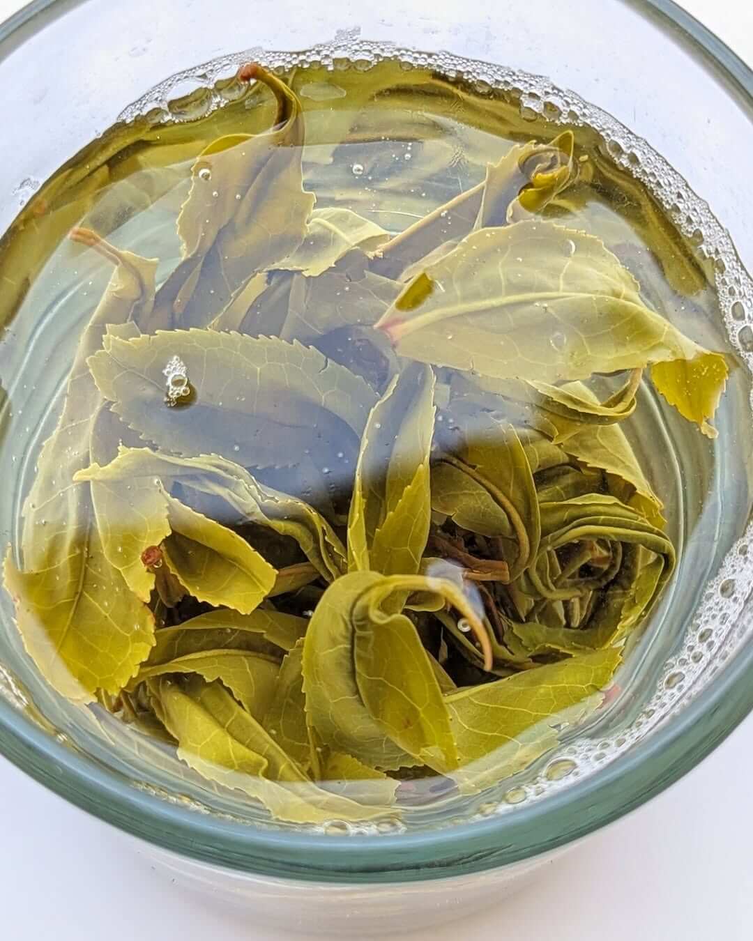 Highland Green Organic Tea – Micro Batch