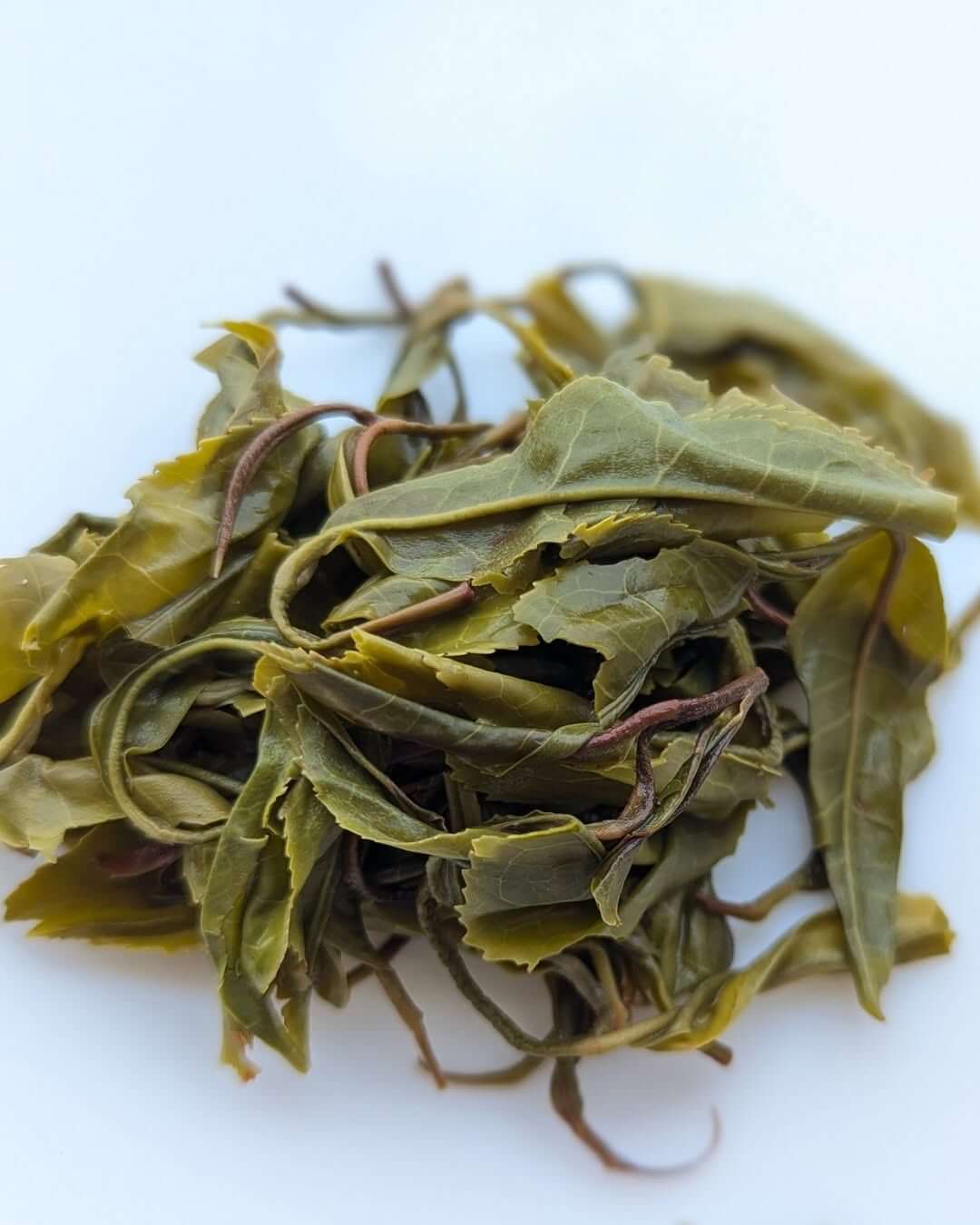 Highland Green Organic Tea – Micro Batch