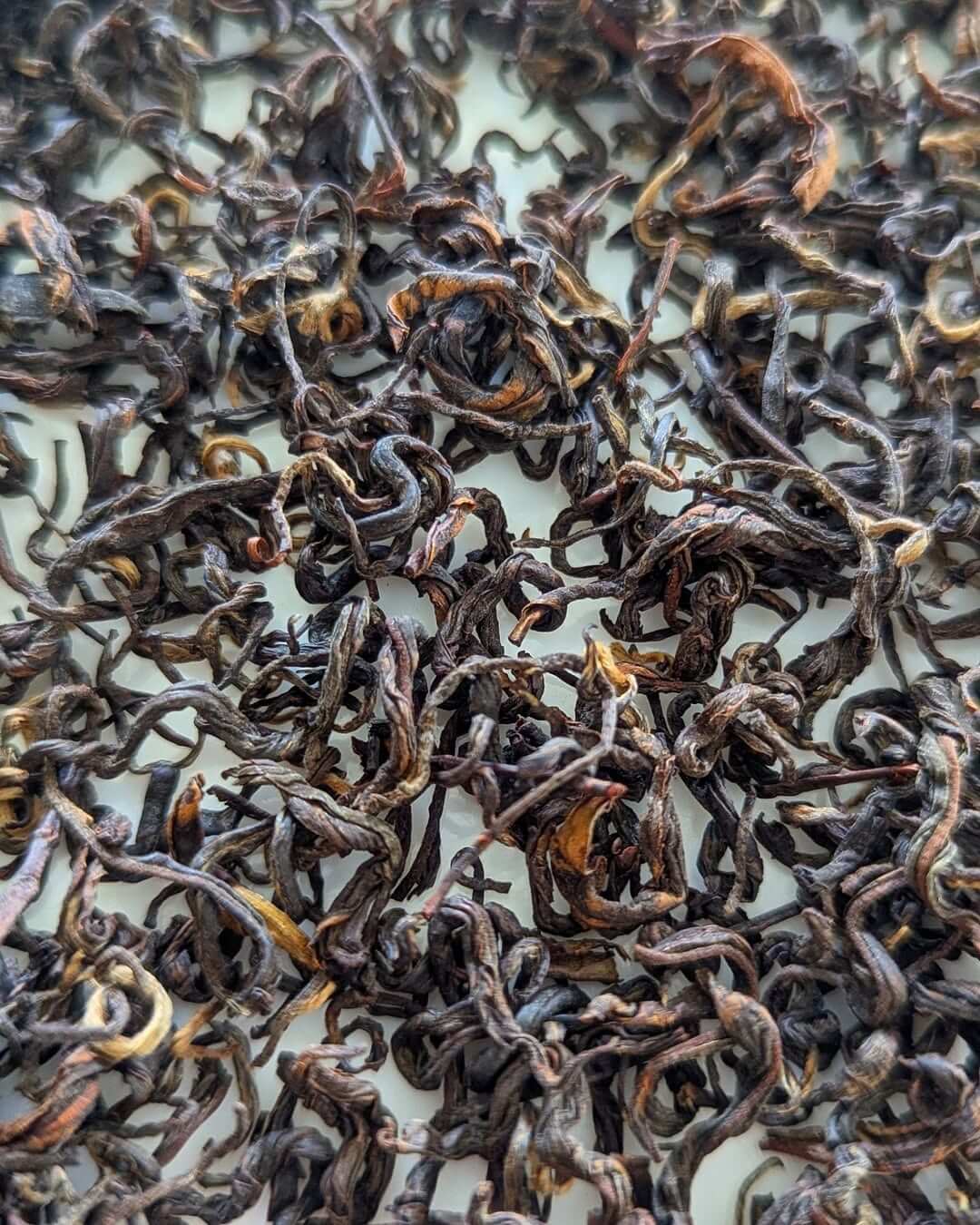 Highland Black – Organic Micro Batch Orthodox Black Tea