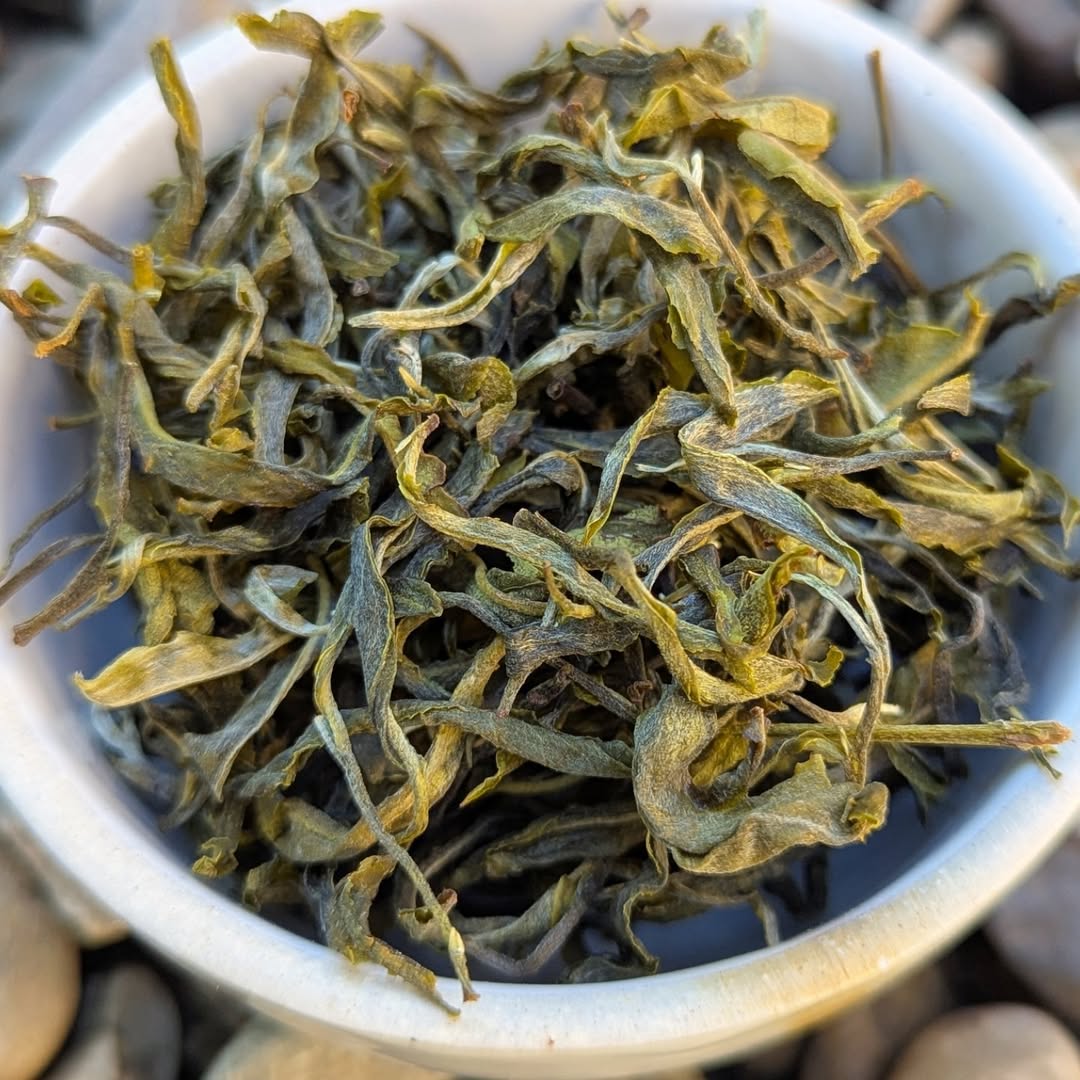 Green Cloud Assam