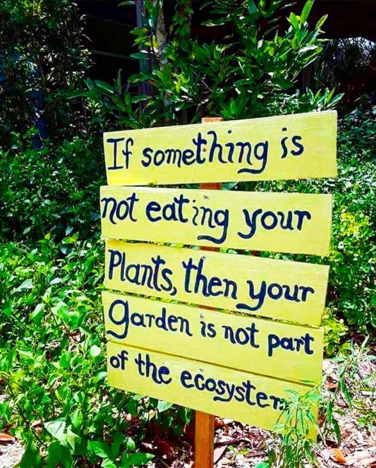 Strengthening Organic Farming Practices with Small Growers