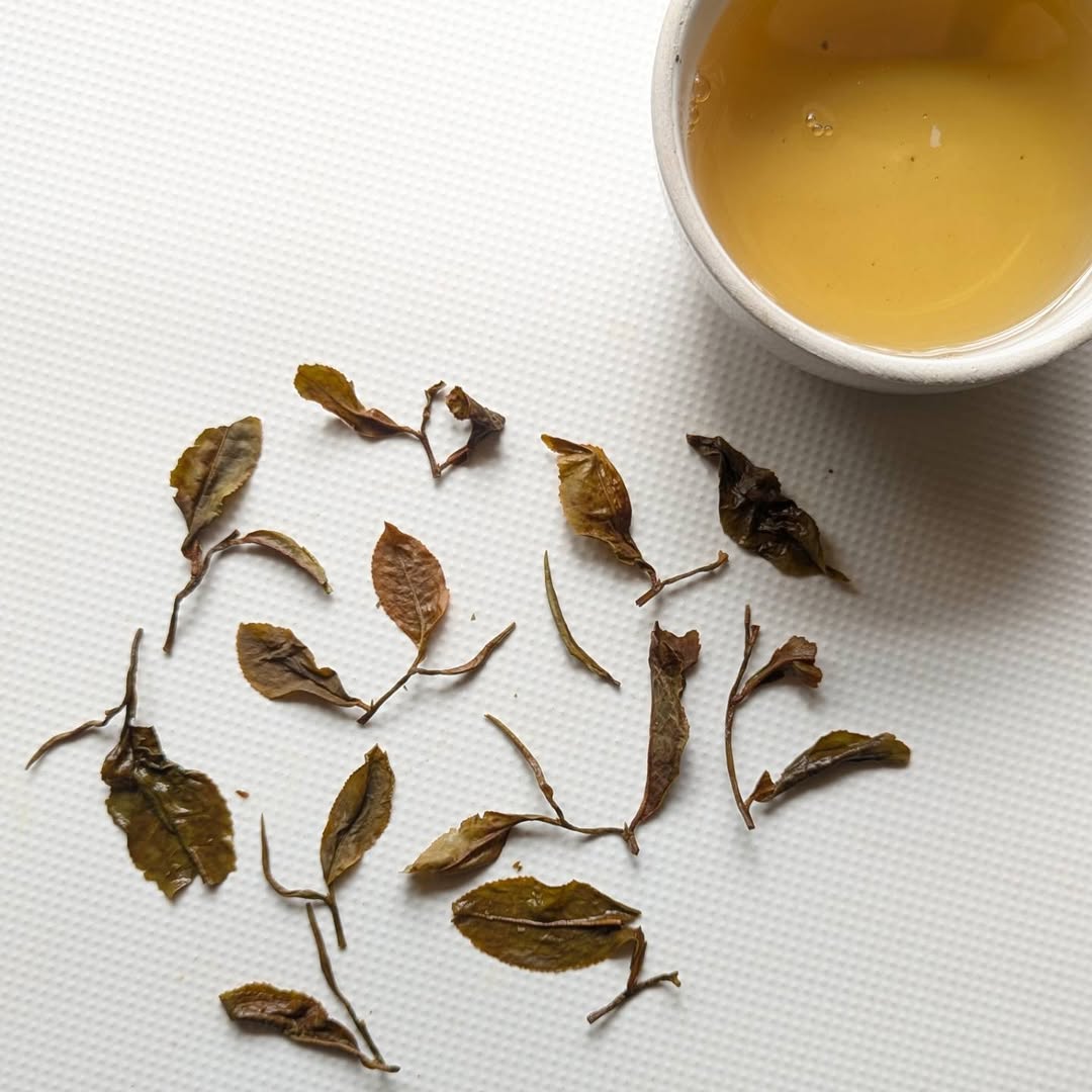 Vintage Green Oolong Tea – Premium Handcrafted Oolong