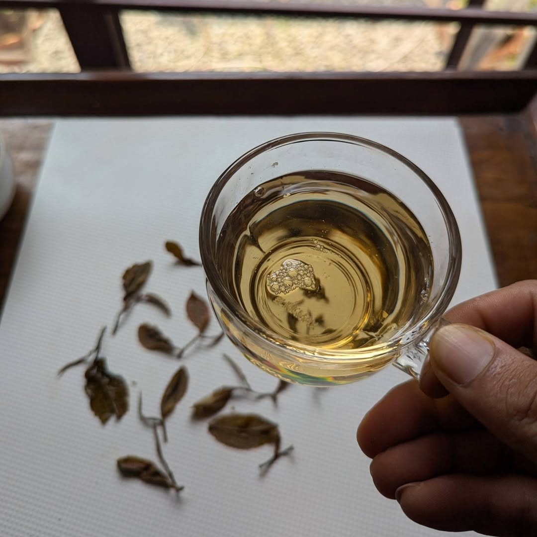 Vintage Green Oolong Tea – Premium Handcrafted Oolong