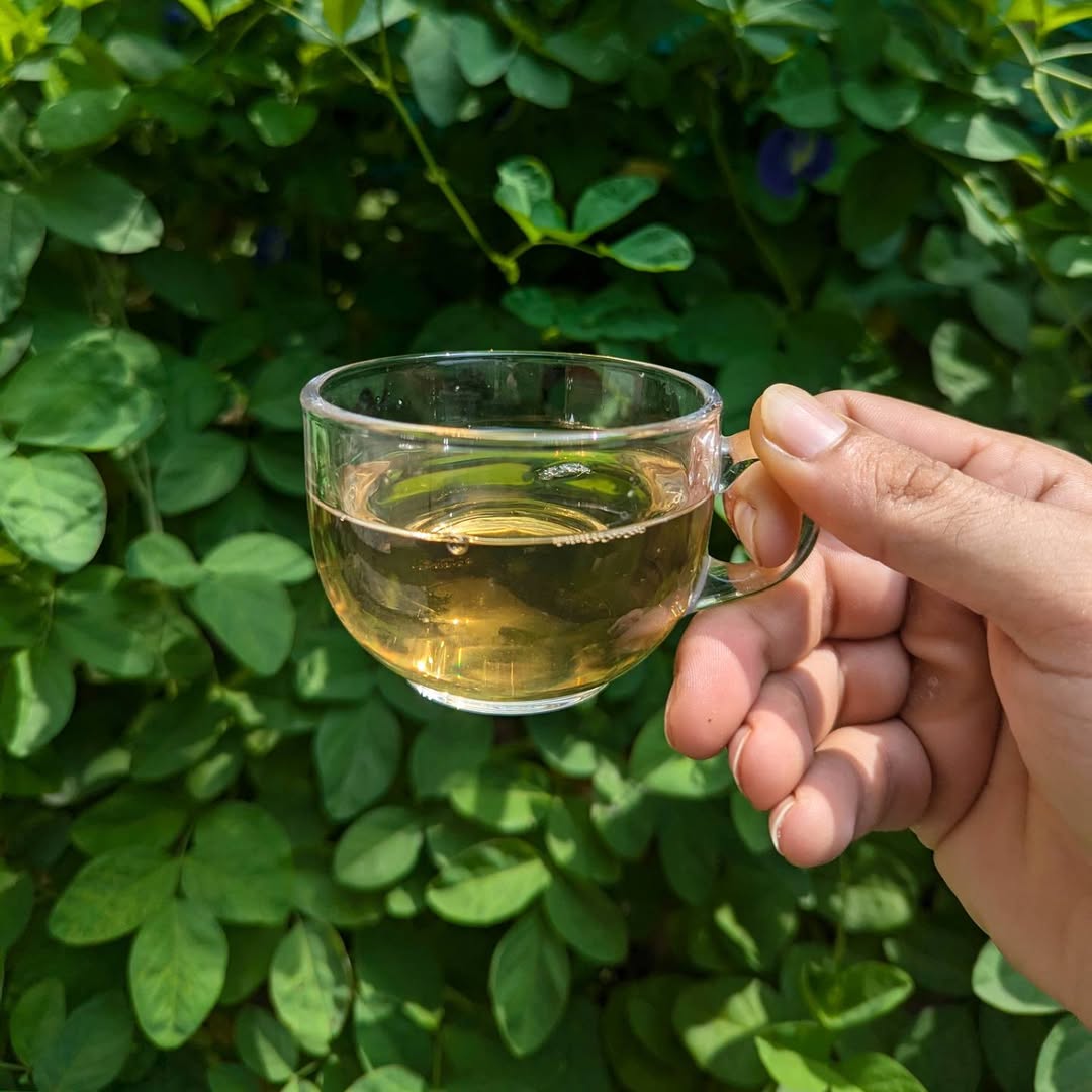 Vintage Green Oolong Tea – Premium Handcrafted Oolong