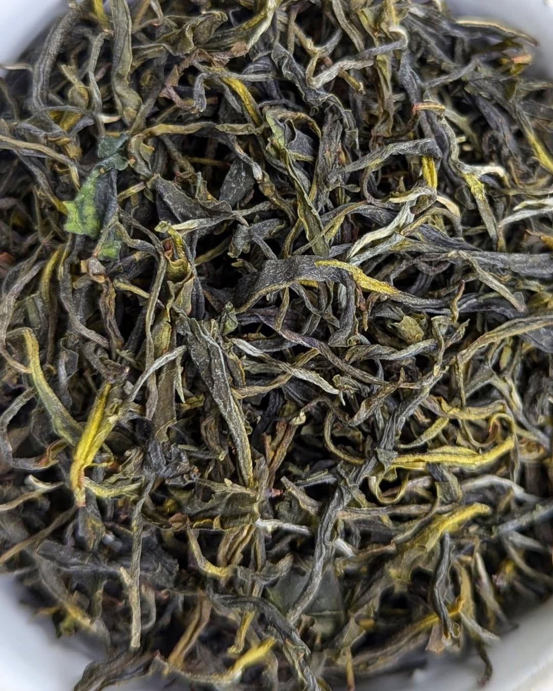 Green Twirl Organic Green Tea