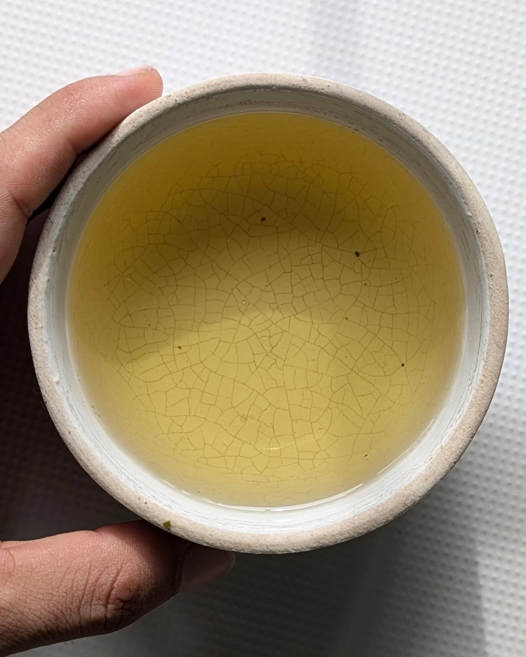 Green Twirl Organic Green Tea