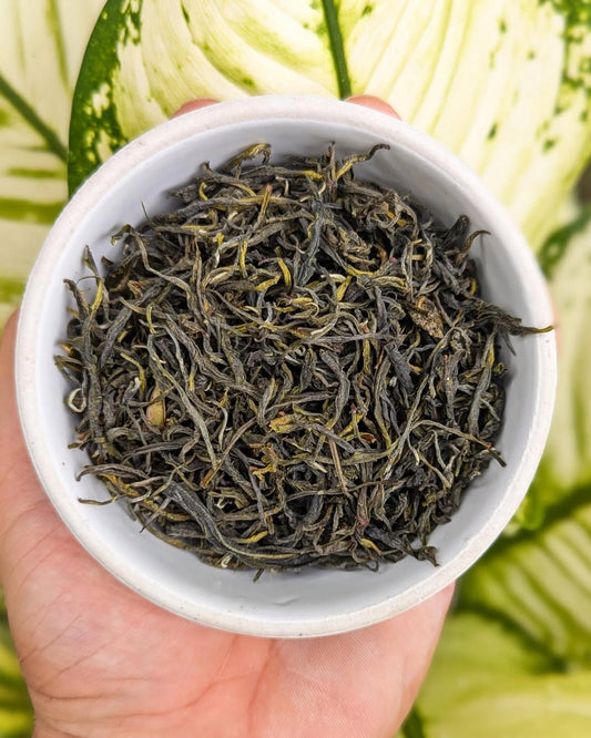 Green Twirl Organic Green Tea