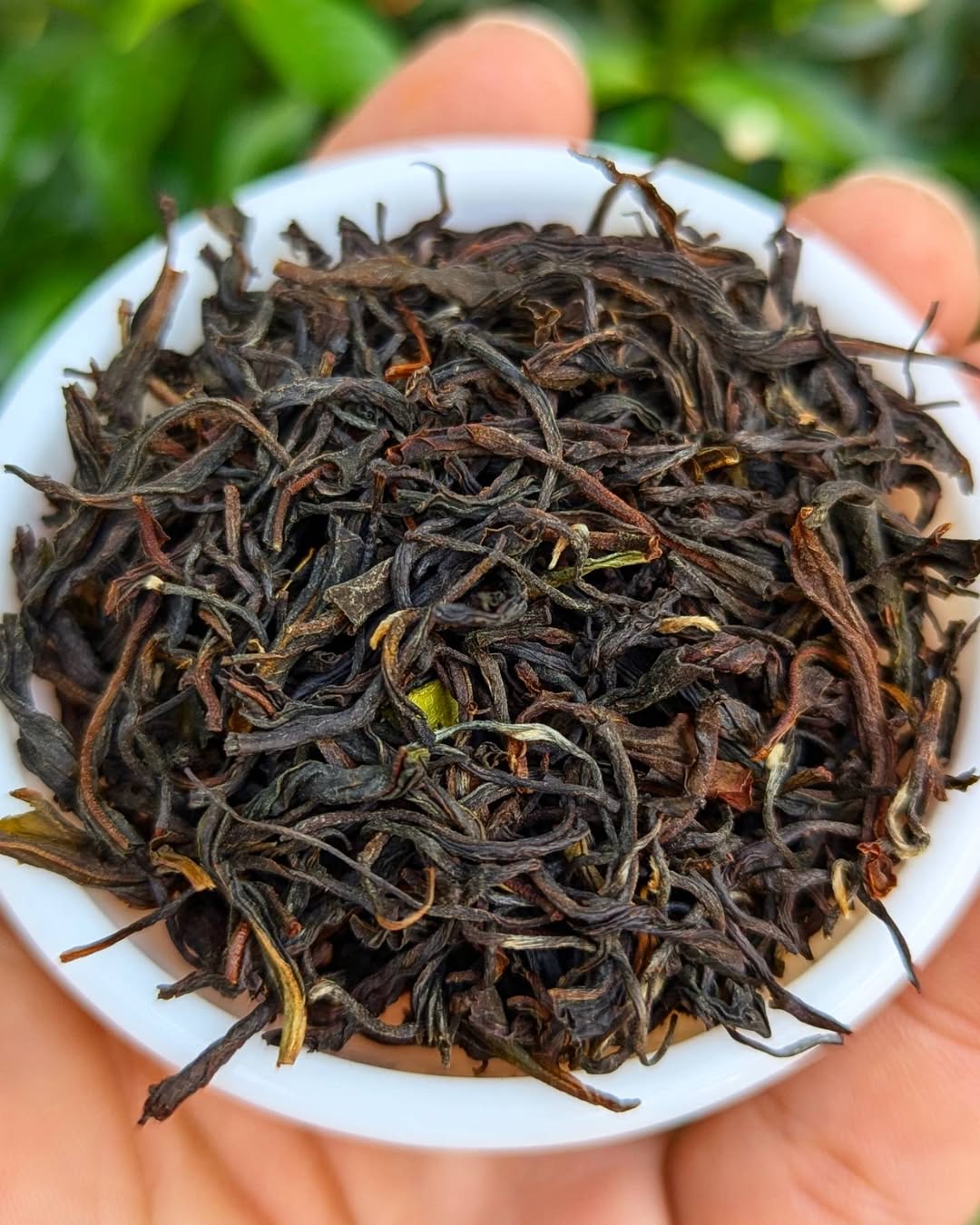 Glendale Twirl Organic Black Tea