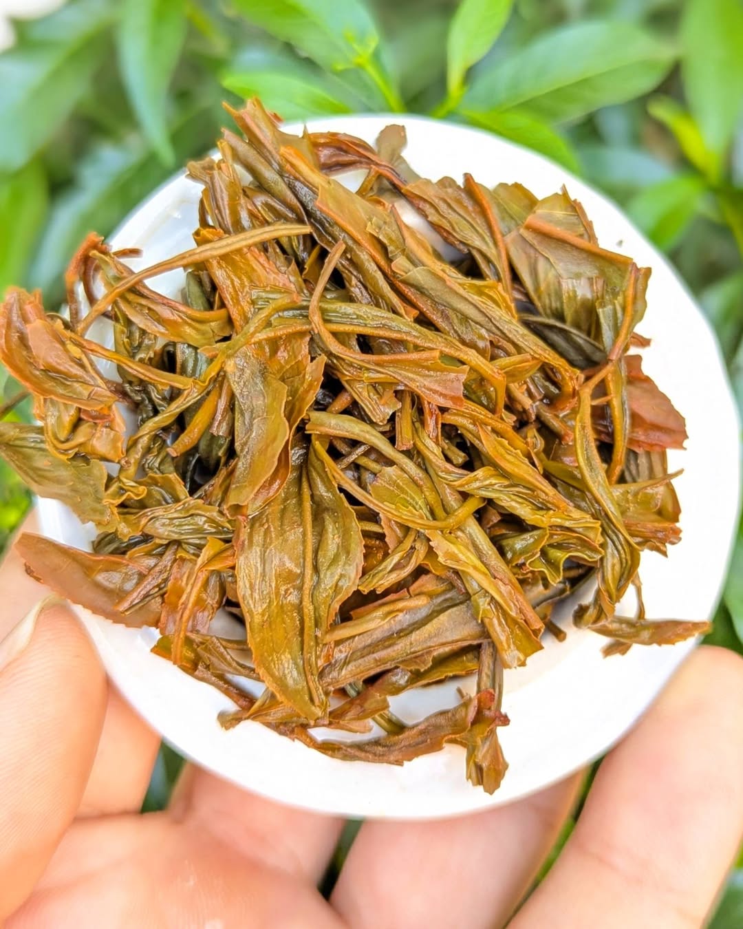 Glendale Twirl Organic Black Tea