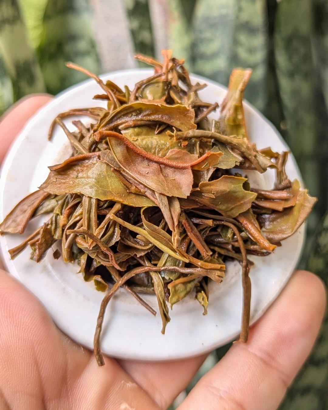 Orange Twirl Organic Black Tea