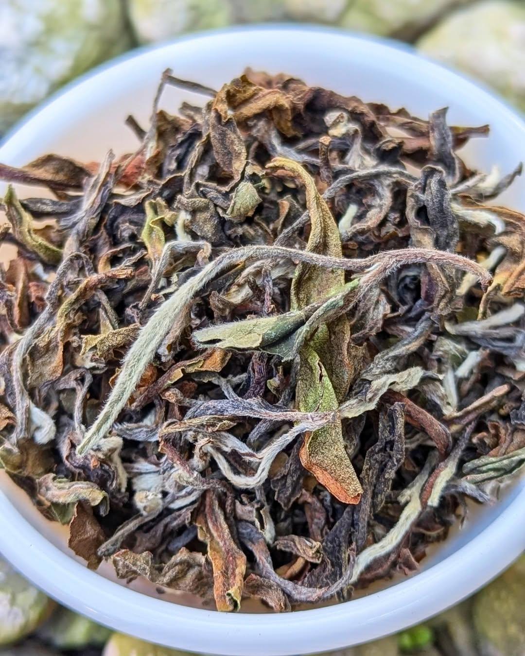 Moonlight White Tea