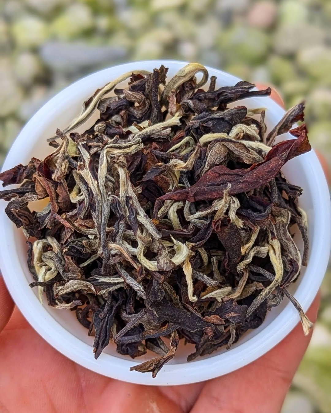 Summer Oolong