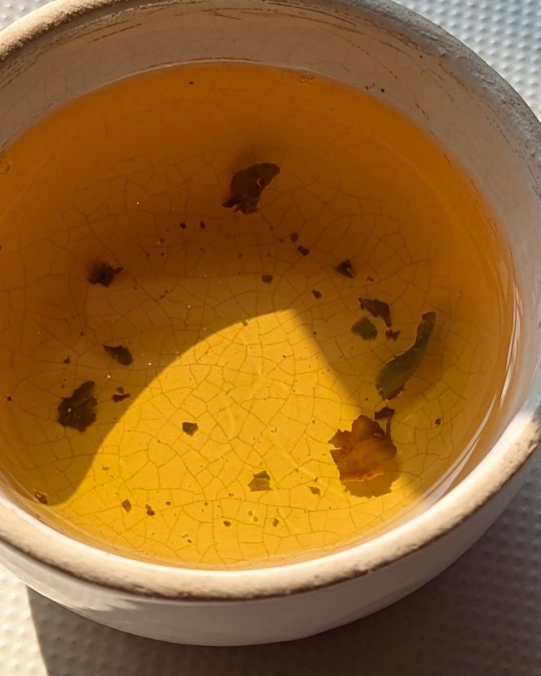 First Pick Organic White Tea
