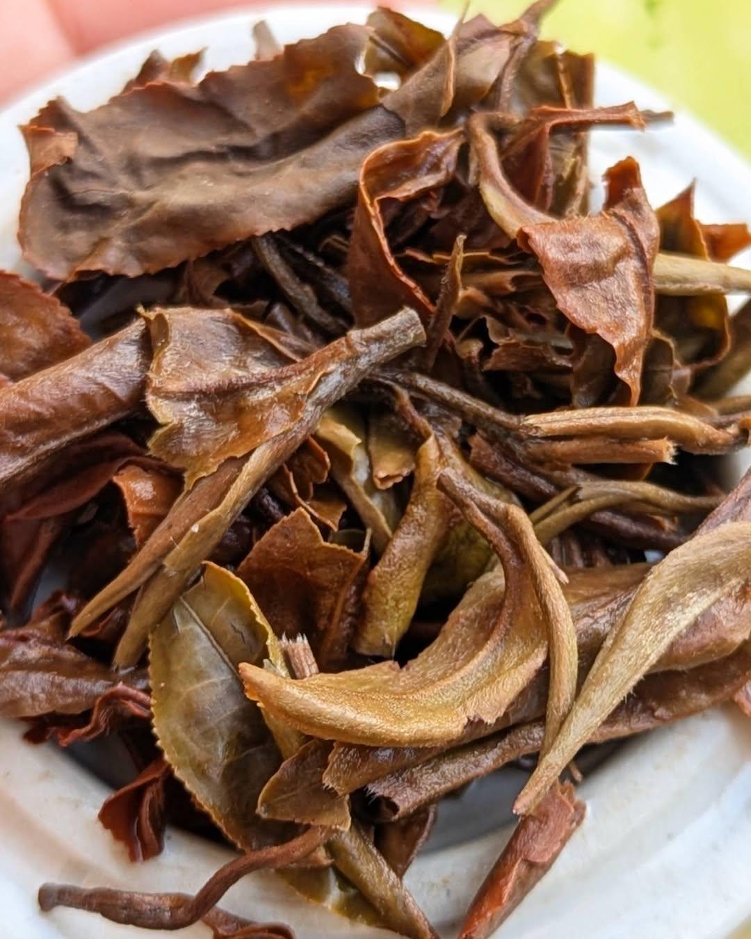 Summer Oolong
