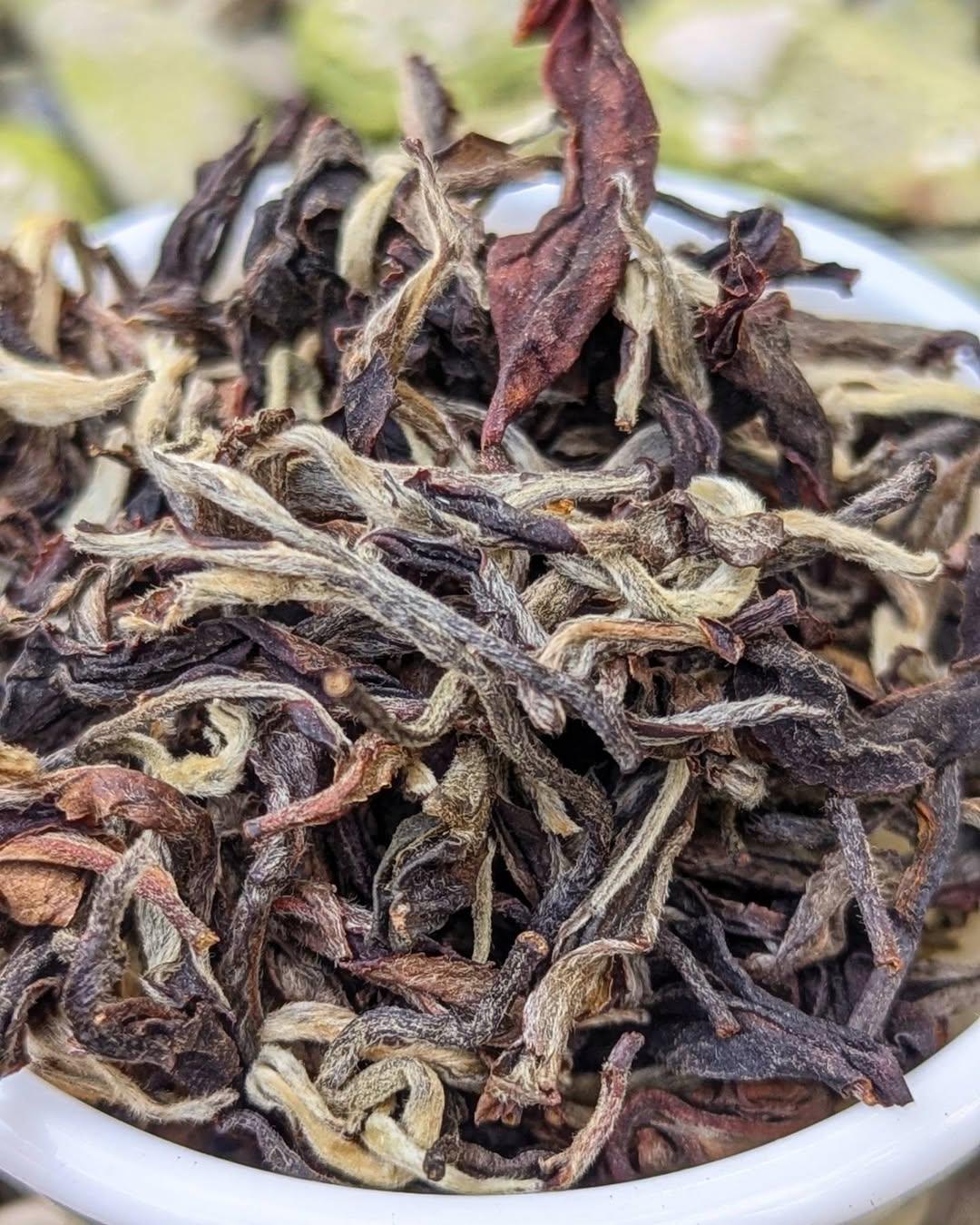 Summer Oolong