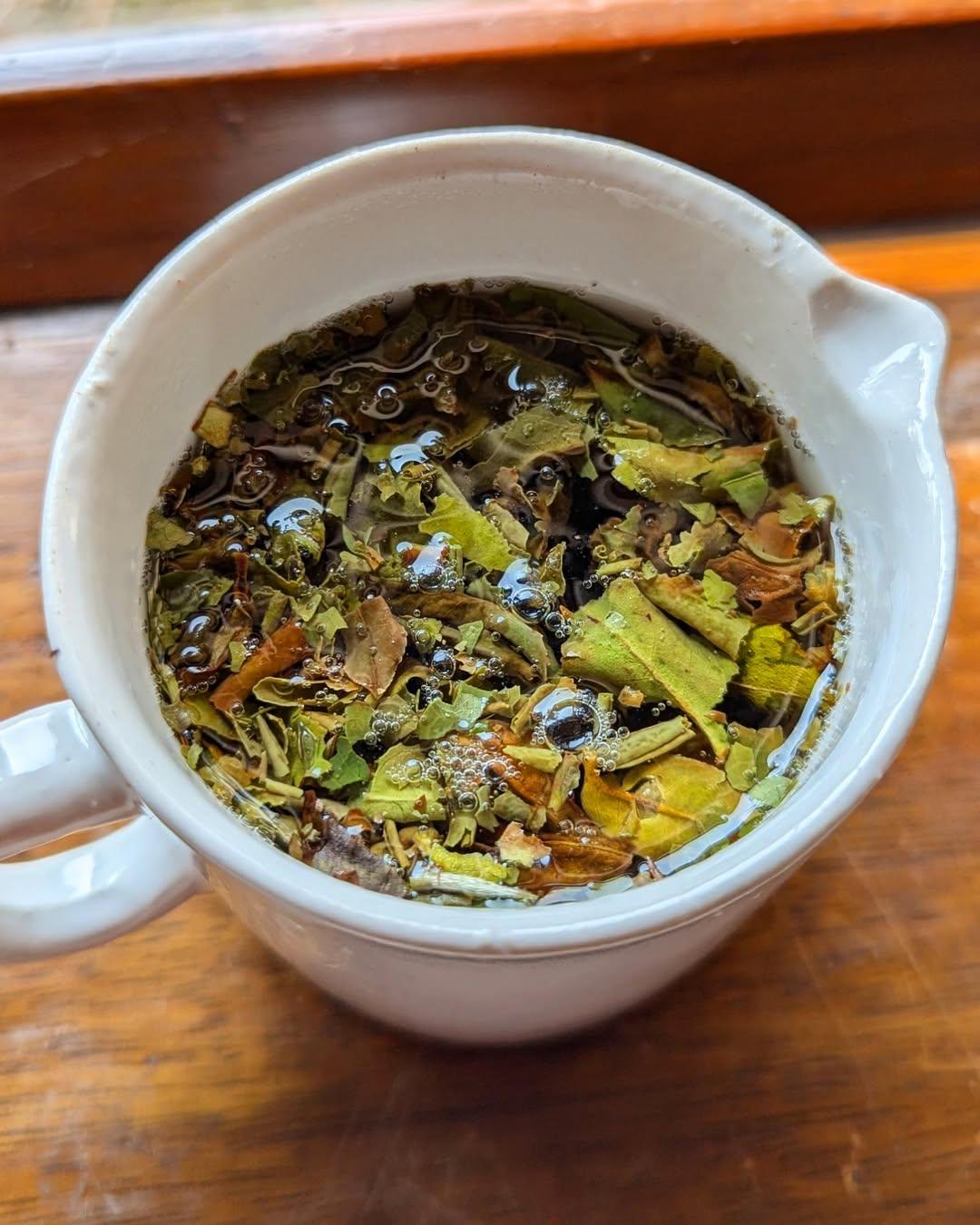 First Pick Organic White Tea