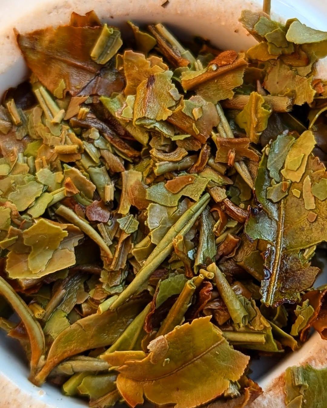 First Pick Organic White Tea