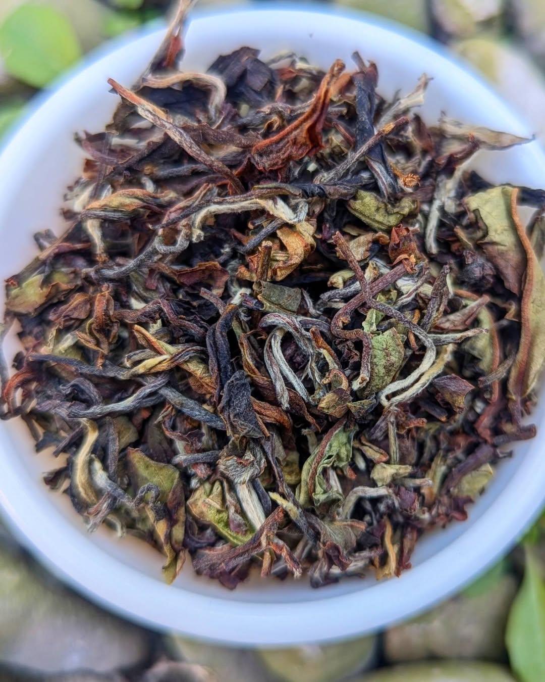 Silver Tips Oolong