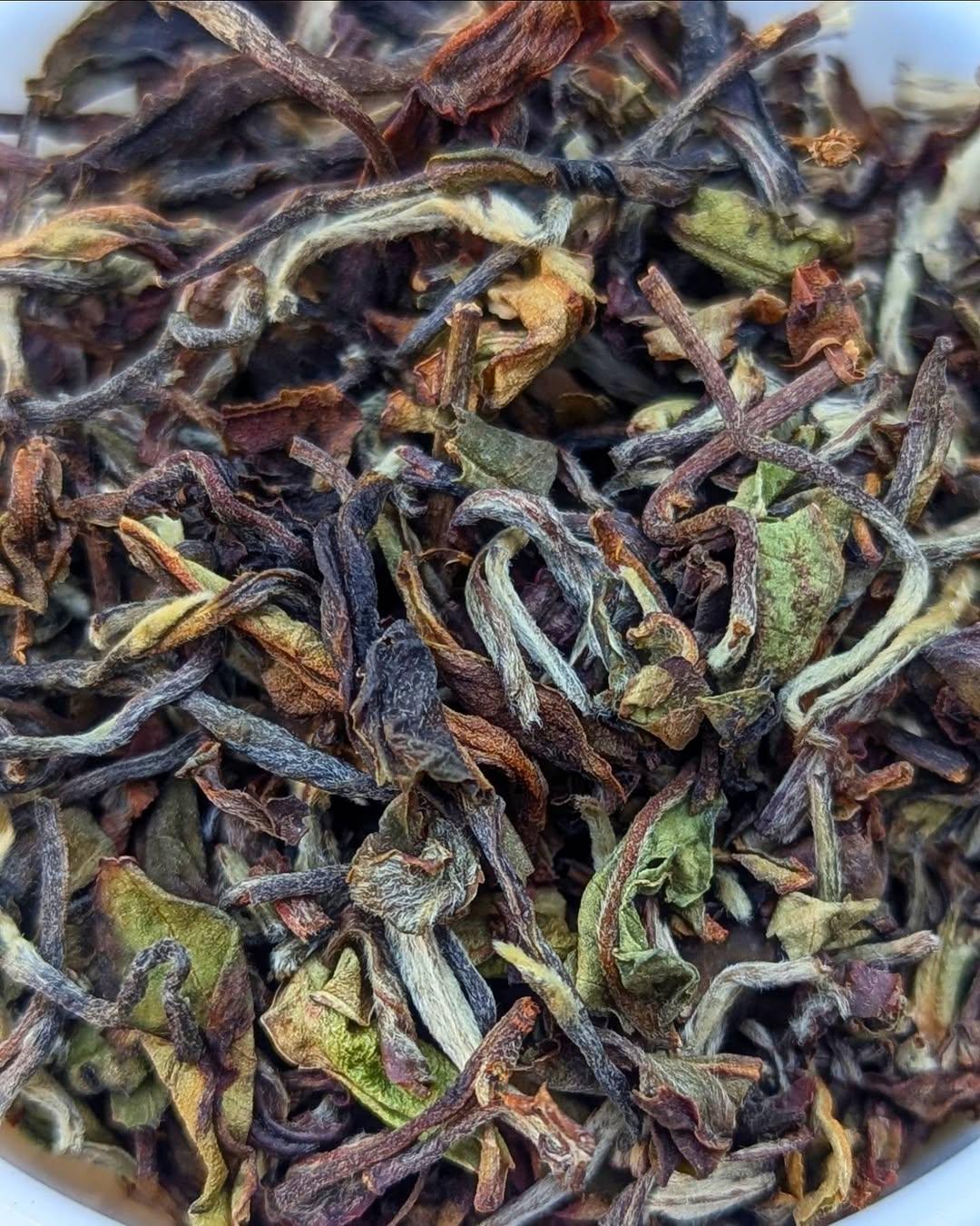 Silver Tips Oolong
