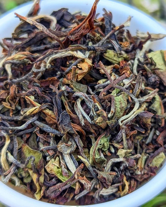 Silver Tips Oolong