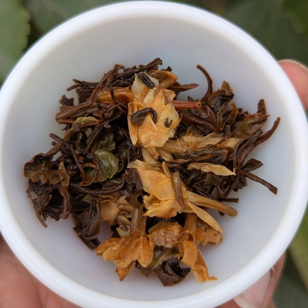 Jasmine Oolong Elegance