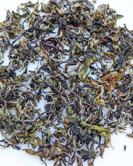 Organic Arunachal AV1 Handcrafted Organic White Tea