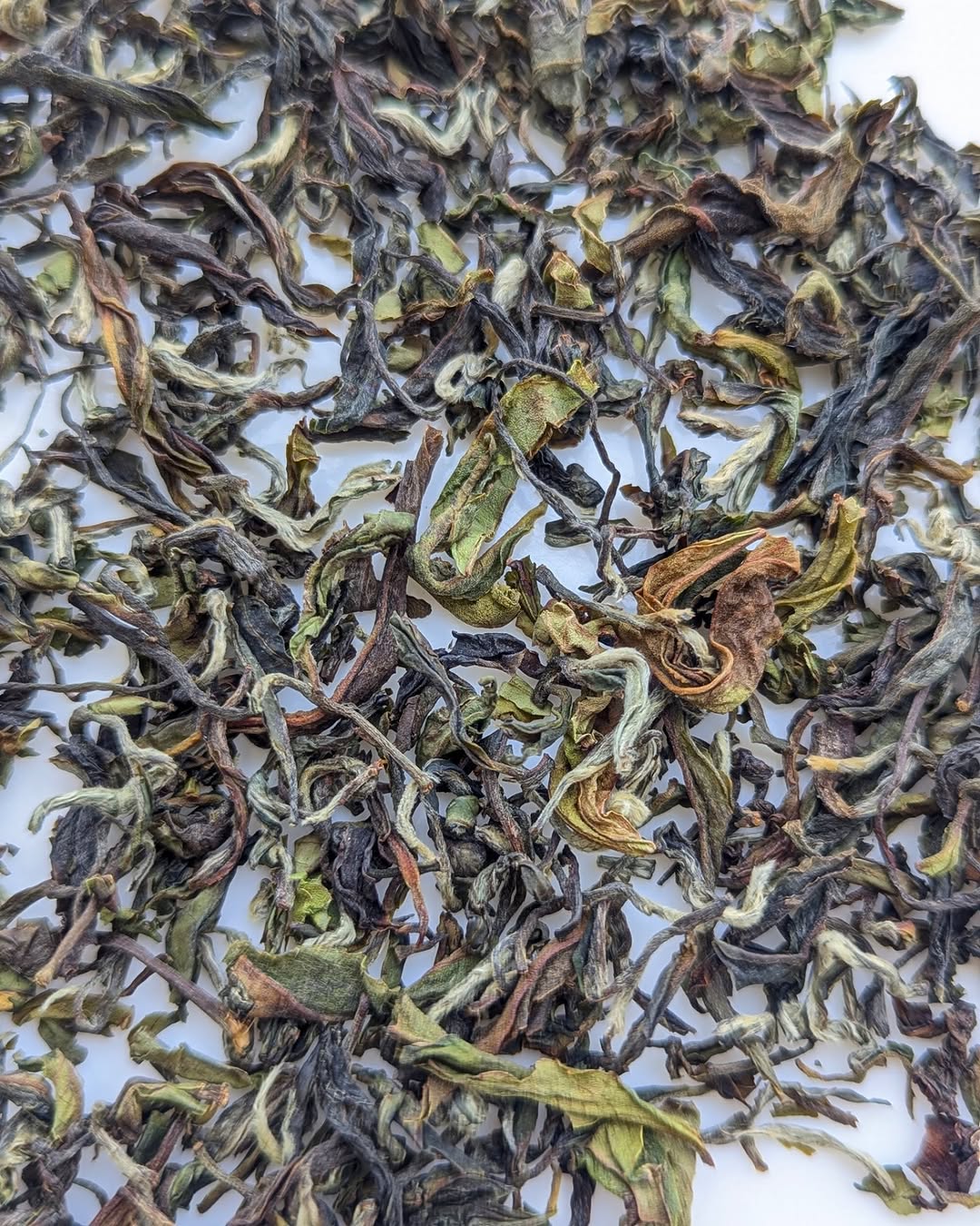 Organic Arunachal AV1 Handcrafted Organic White Tea