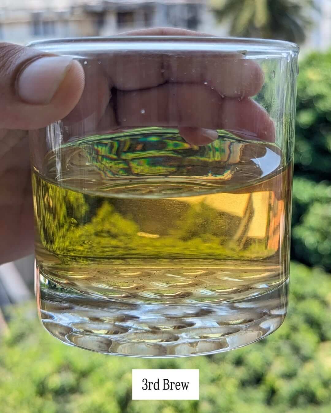 Organic Arunachal AV1 Handcrafted Organic White Tea