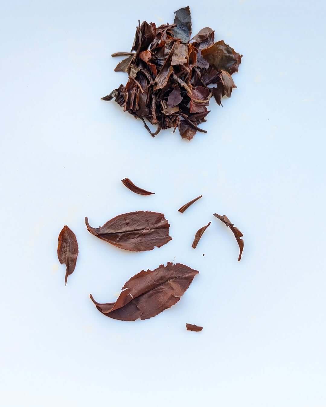 Dried organic tea leaves showcasing the rich texture of Arunachal Experimental Clonal Gold black tea.