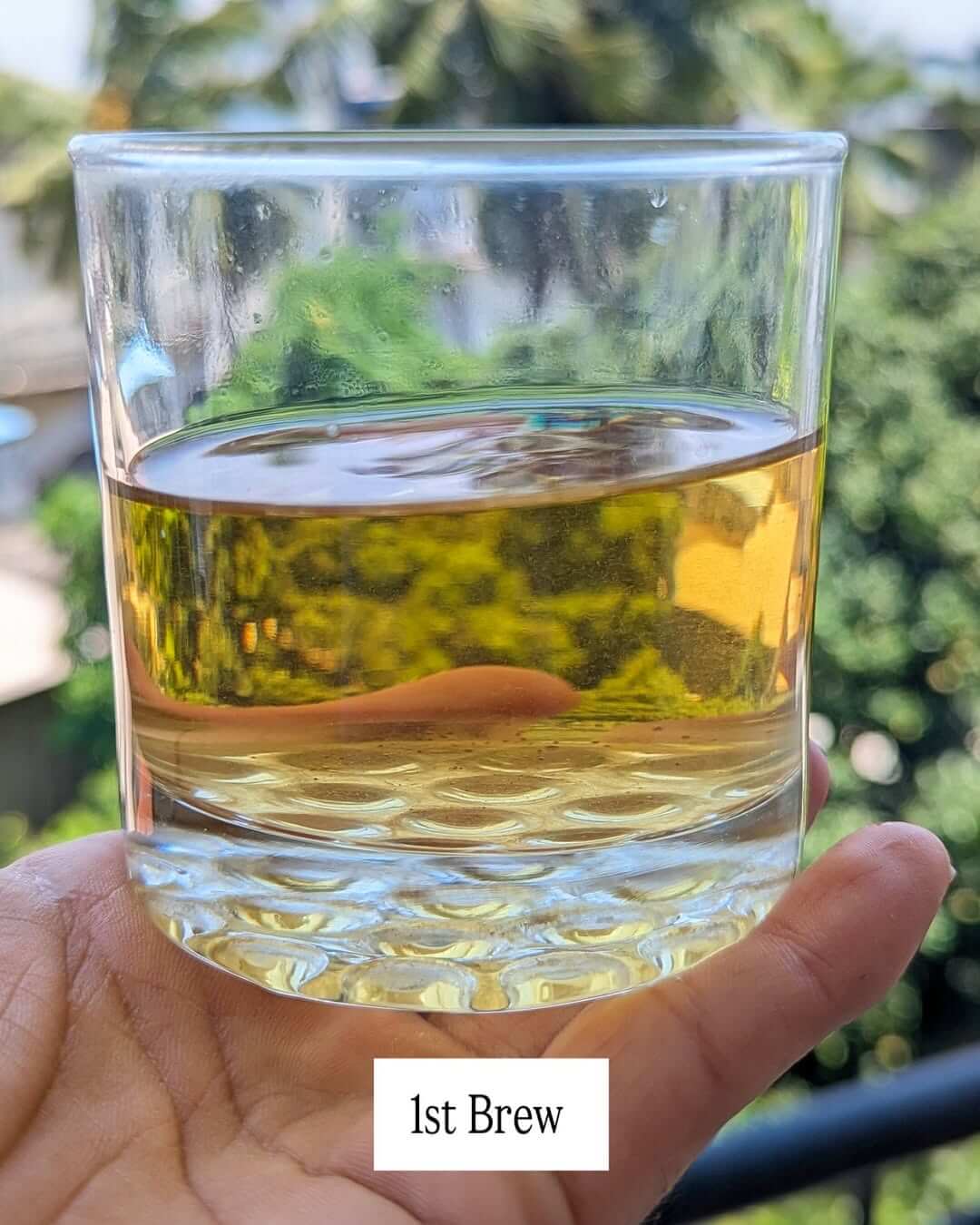 Organic Arunachal AV1 Handcrafted Organic White Tea