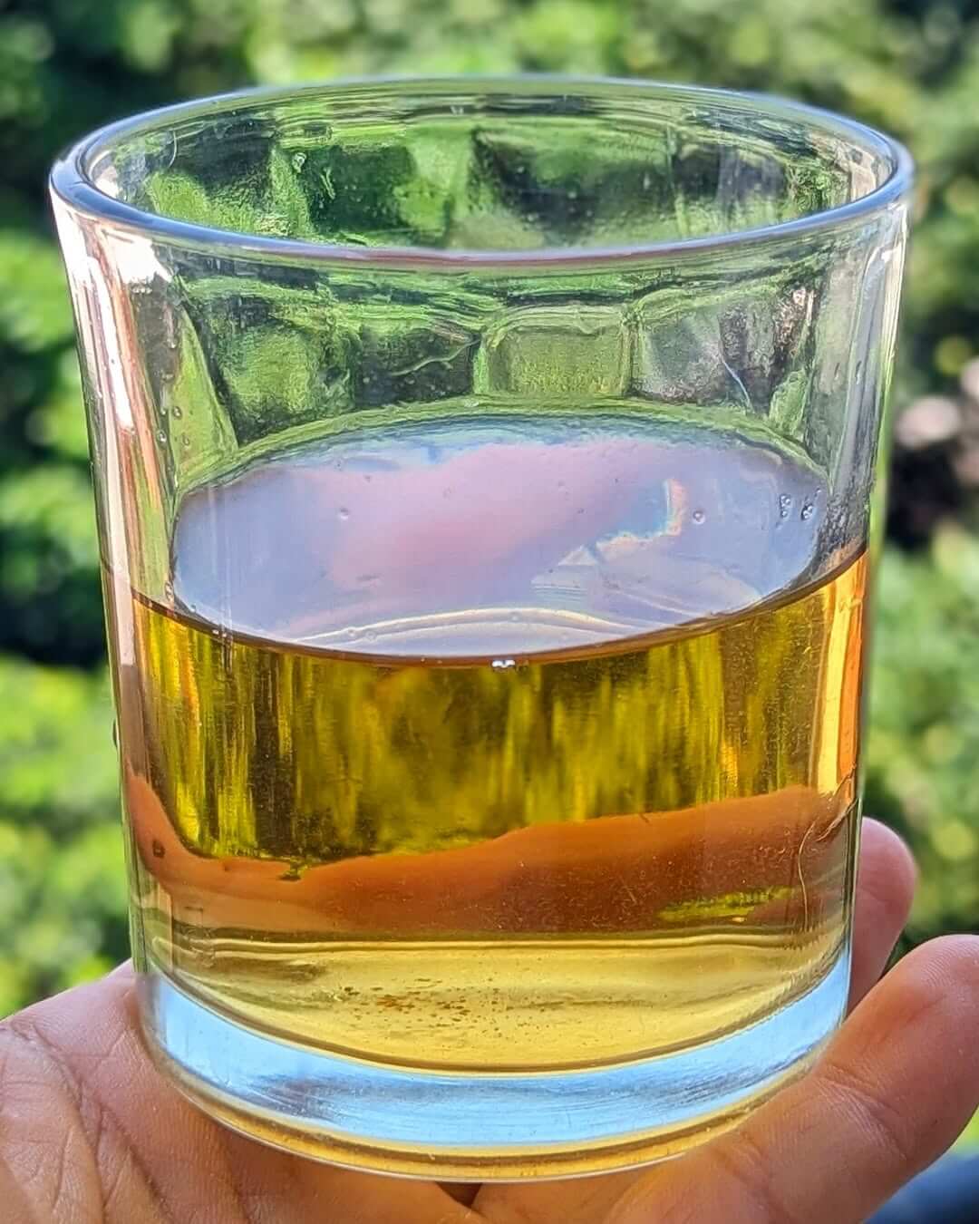 Bug-Bitten Organic Tea