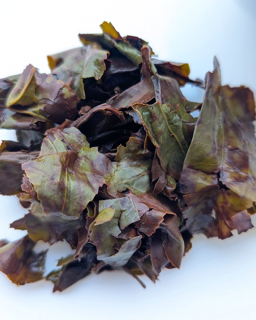 Otucha Oolong