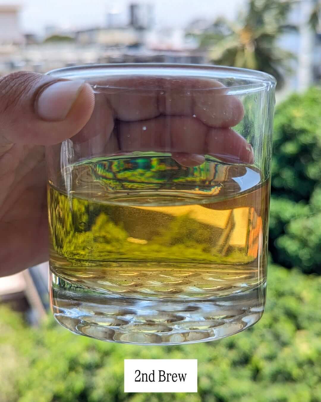 Organic Arunachal AV1 Handcrafted Organic White Tea