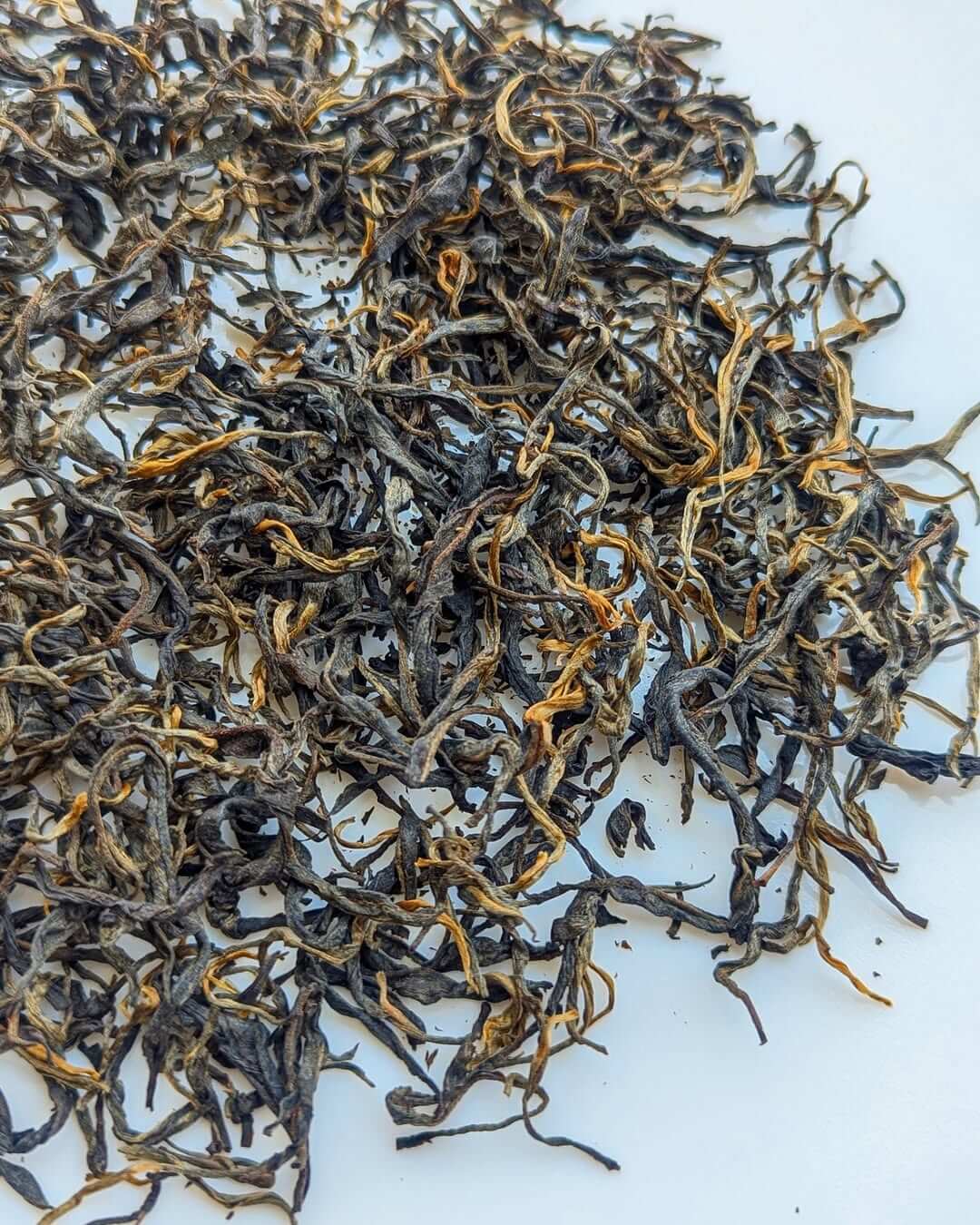 P-126 Clonal Tippy Reserve Organic Black Tea loose leaves, showcasing premium organic quality and handcrafted excellence.