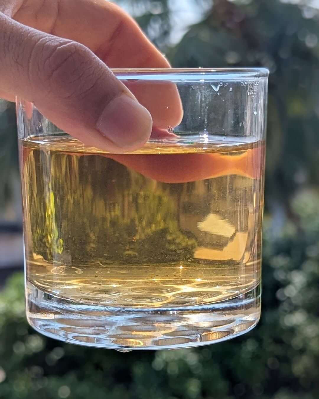 Hand holding a glass containing brewed Aambari AV2 First Flush Black Tea, showcasing its golden hue.