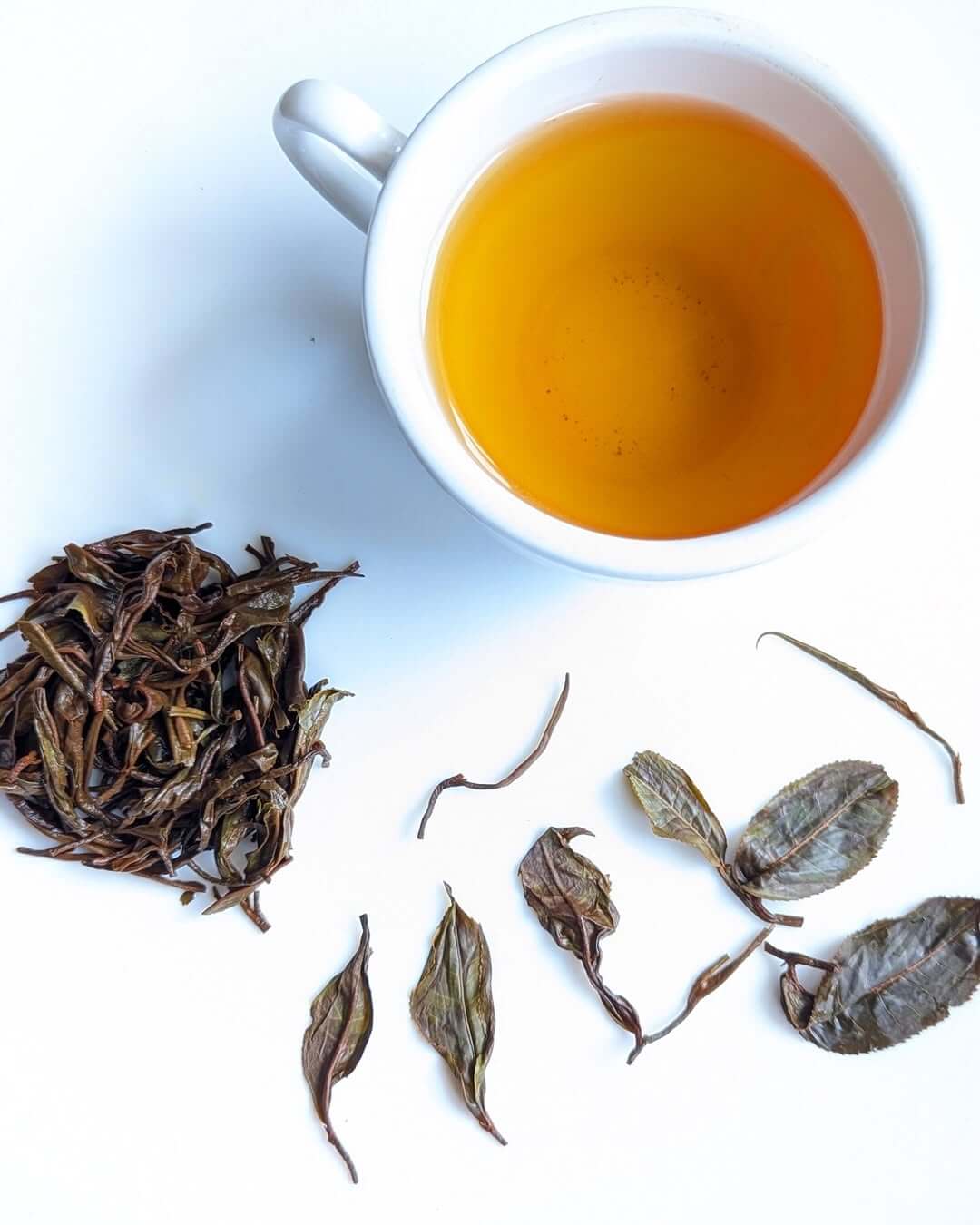 P-126 Clonal Tippy Reserve Organic Black Tea with loose leaves and brewed cup, showcasing premium quality and natural flavors.