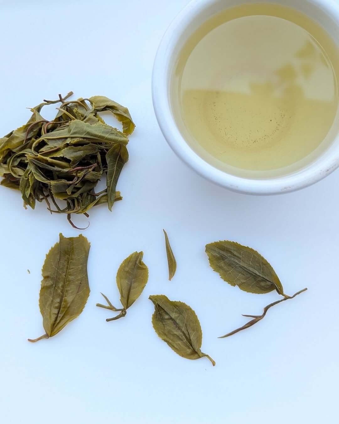 Highland Green Organic Tea – Micro Batch