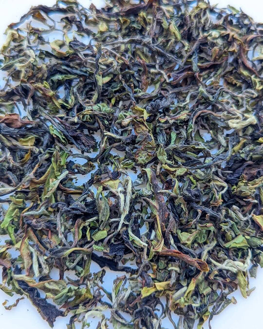 Bug-Bitten Organic Tea