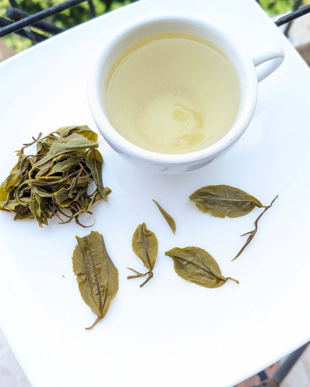 Highland Green Organic Tea – Micro Batch