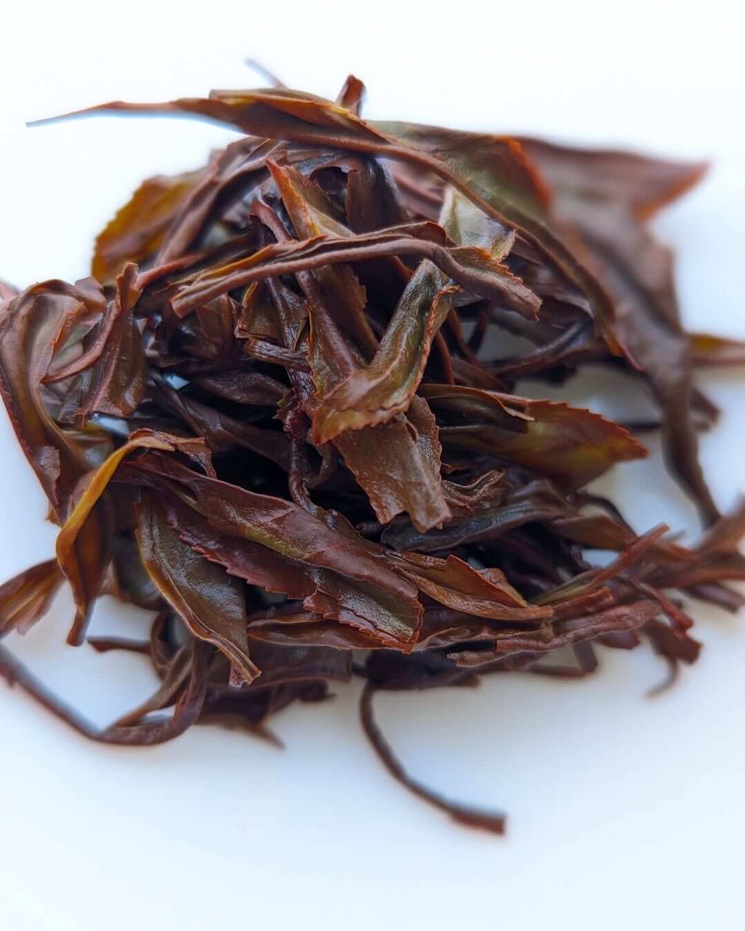 Highland Black – Organic Micro Batch Orthodox Black Tea