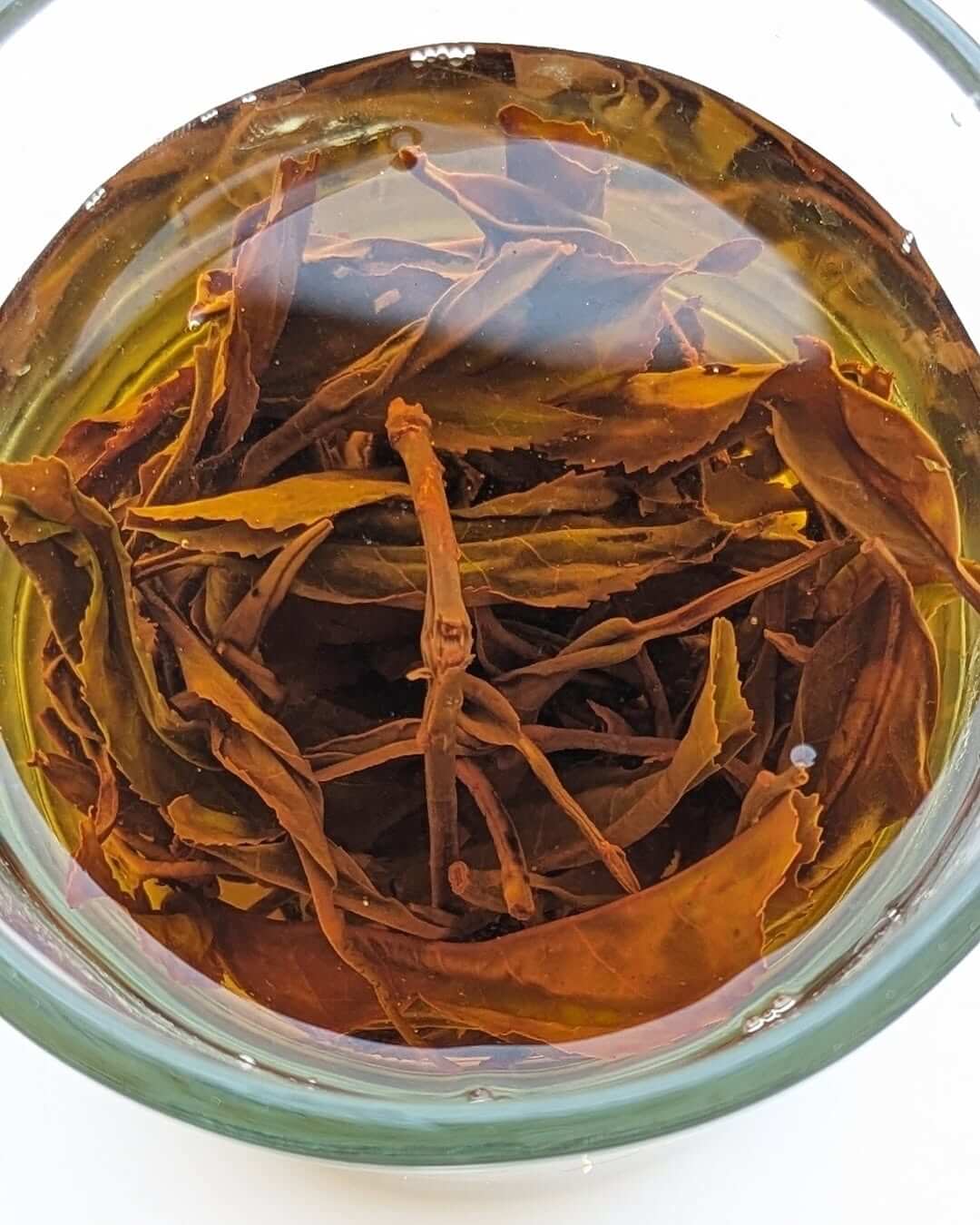 Highland Black – Organic Micro Batch Orthodox Black Tea