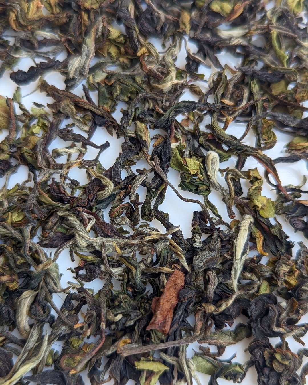 AV2 Clonal Muscatel Glow – Organic Black Tea