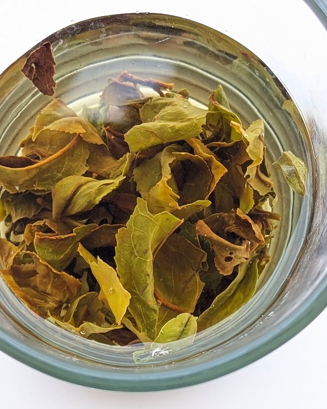 AV2 Clonal Muscatel Glow – Organic Black Tea