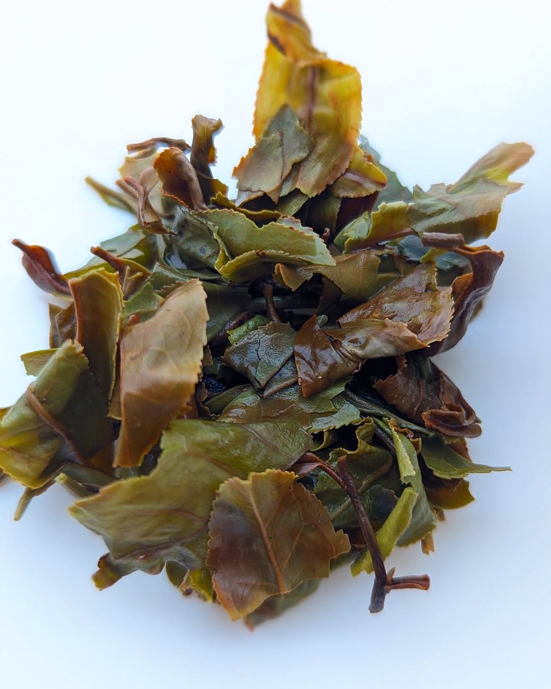 AV2 Clonal Muscatel Glow – Organic Black Tea