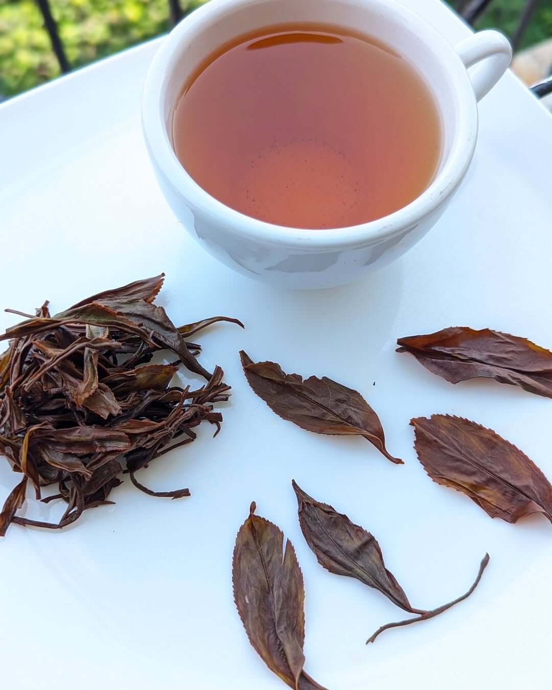 Highland Black – Organic Micro Batch Orthodox Black Tea