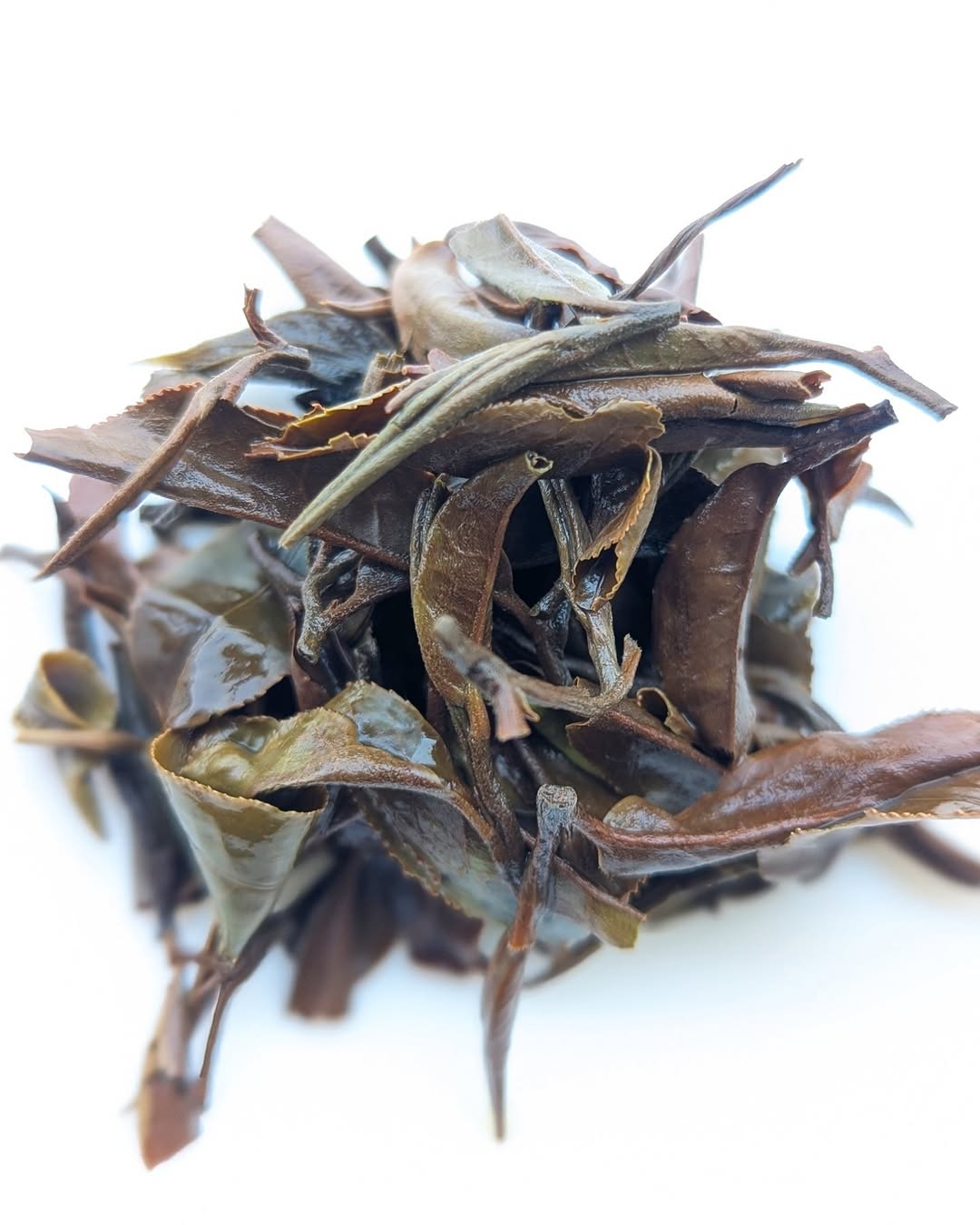 Otucha White Tea | Limited Experimental Batch